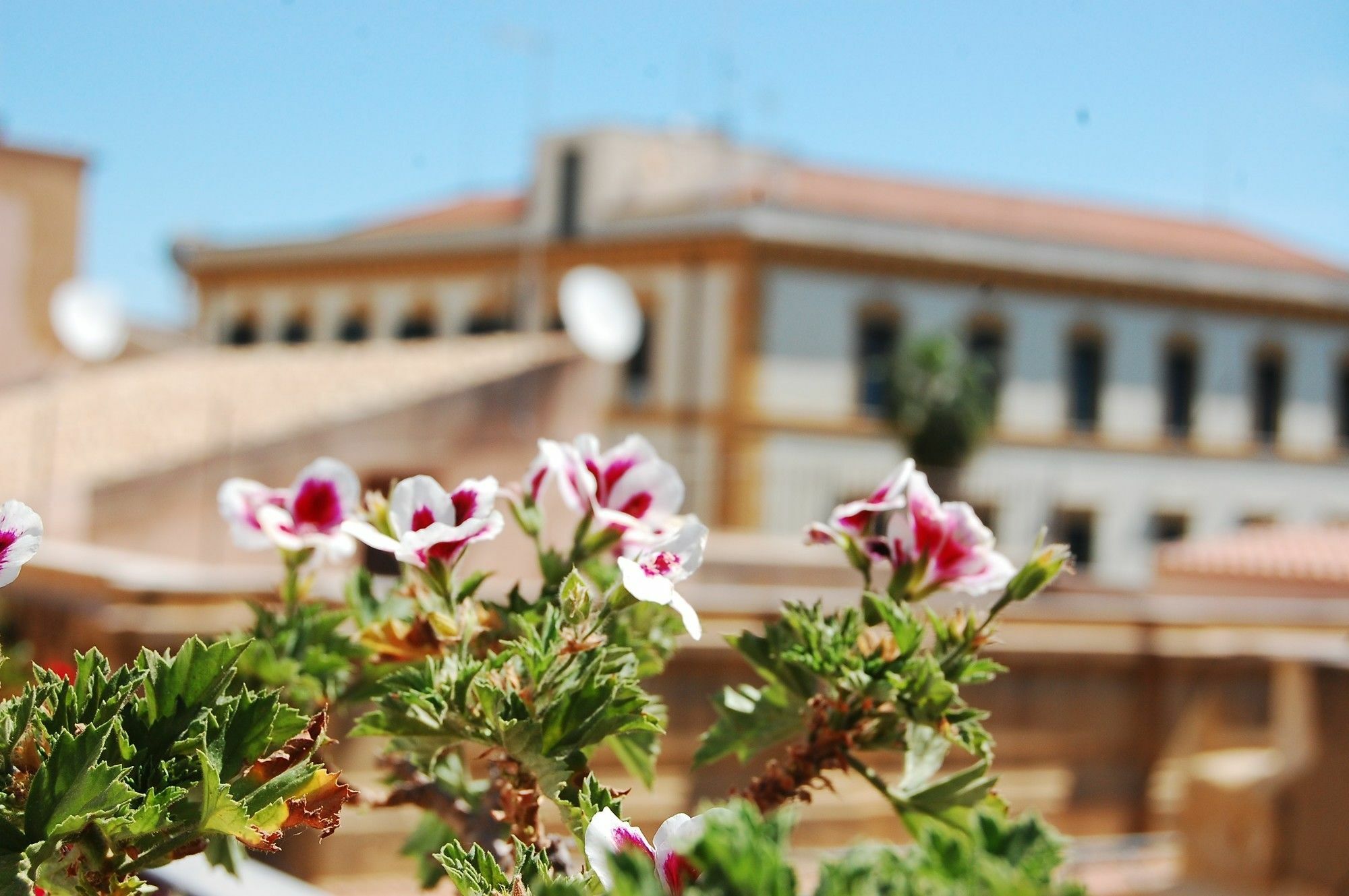 Portatenea - Atenea Collection Agrigento Zewnętrze zdjęcie